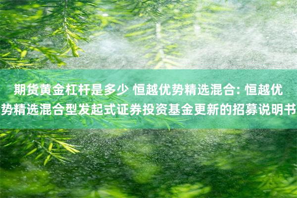 期货黄金杠杆是多少 恒越优势精选混合: 恒越优势精选混合型发起式证券投资基金更新的招募说明书