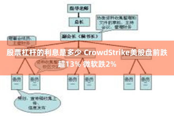 股票杠杆的利息是多少 CrowdStrike美股盘前跌超13% 微软跌2%