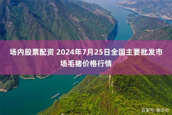 场内股票配资 2024年7月25日全国主要批发市场毛猪价格行情