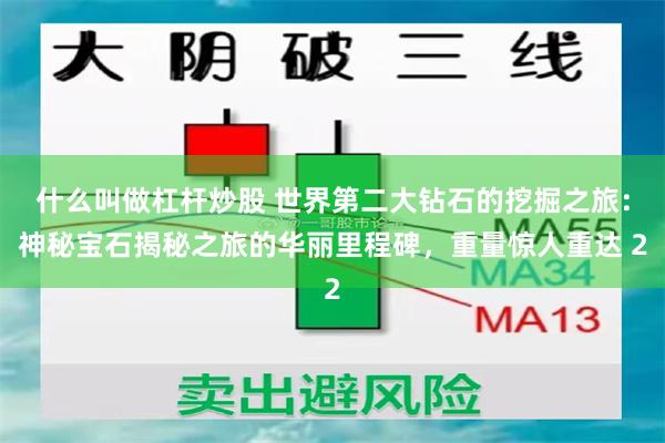 什么叫做杠杆炒股 世界第二大钻石的挖掘之旅：神秘宝石揭秘之旅的华丽里程碑，重量惊人重达 2