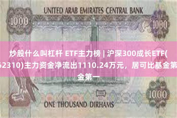 炒股什么叫杠杆 ETF主力榜 | 沪深300成长ETF(562310)主力资金净流出1110.24万元，居可比基金第一