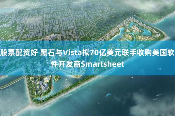 股票配资好 黑石与Vista拟70亿美元联手收购美国软件开发商Smartsheet