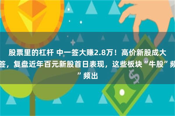 股票里的杠杆 中一签大赚2.8万！高价新股成大肉签，复盘近年百元新股首日表现，这些板块“牛股”频出