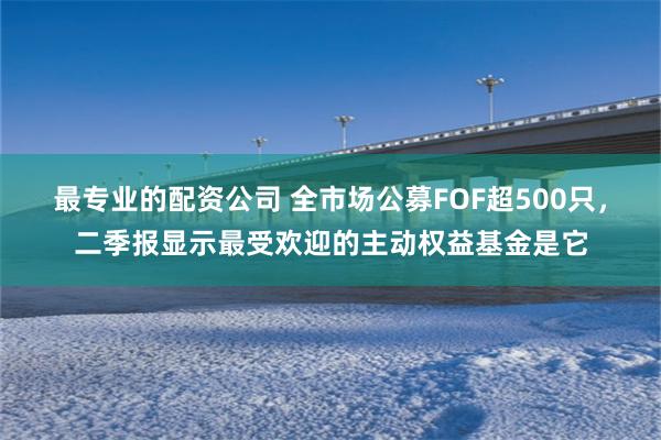 最专业的配资公司 全市场公募FOF超500只，二季报显示最受欢迎的主动权益基金是它