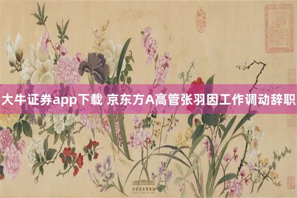 大牛证券app下载 京东方A高管张羽因工作调动辞职