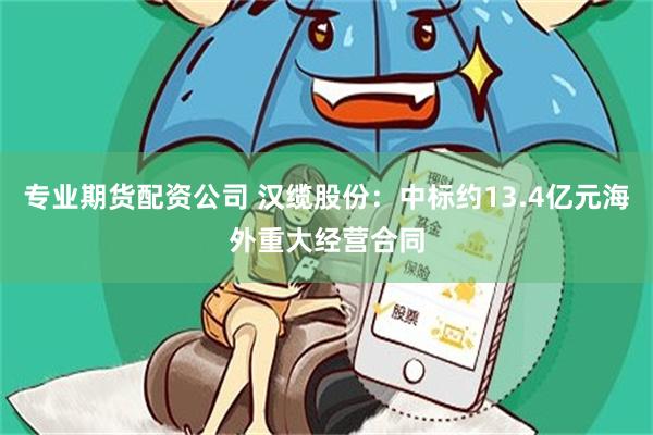 专业期货配资公司 汉缆股份：中标约13.4亿元海外重大经营合同