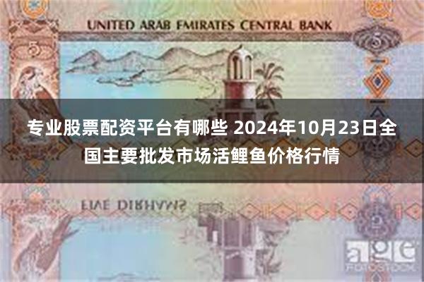 专业股票配资平台有哪些 2024年10月23日全国主要批发市场活鲤鱼价格行情