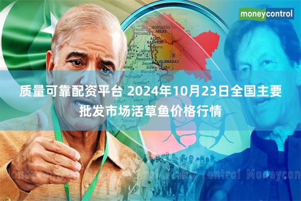 质量可靠配资平台 2024年10月23日全国主要批发市场活草鱼价格行情