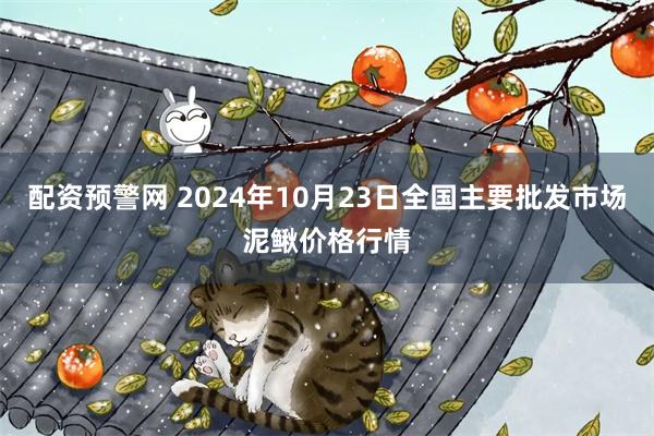 配资预警网 2024年10月23日全国主要批发市场泥鳅价格行情