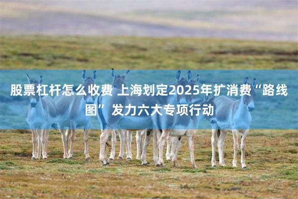 股票杠杆怎么收费 上海划定2025年扩消费“路线图” 发力六大专项行动