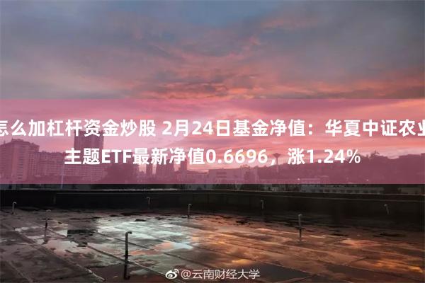 怎么加杠杆资金炒股 2月24日基金净值：华夏中证农业主题ETF最新净值0.6696，涨1.24%